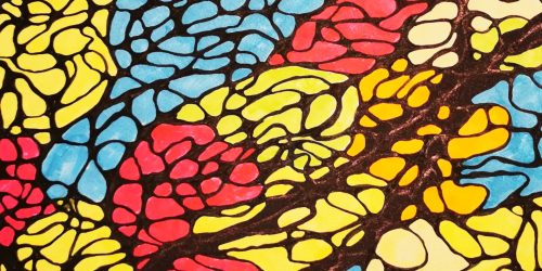 NeuroGrafika - Algorytm Znoszenia Ograniczeń